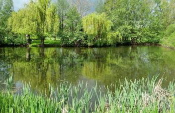 Ferienwohnung am See - Foto 1