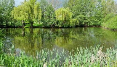 Ferienwohnung am See - Foto 1