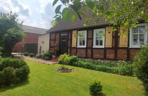 Ferienwohnung Steffenshagen - Foto 8