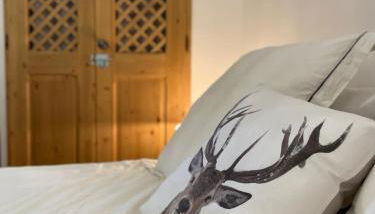 La Perle des Alpes C10 Apart.4* #Yolo Alp Home - Foto 2