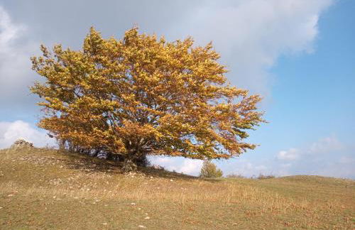 Ferienwohnung Zur Eisenbahn - Foto 11