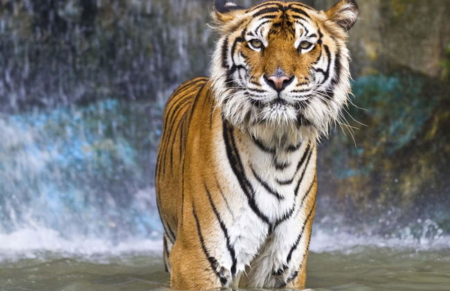 The Reside - Foto 18