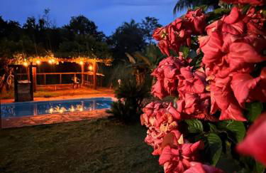 Maravilhosa Casa da Floresta - Foto 15