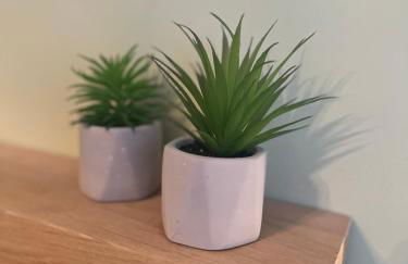 The Grange - Photo 26