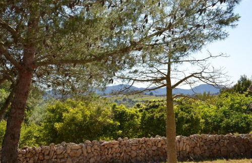 Finca Son Blat - Photo 38