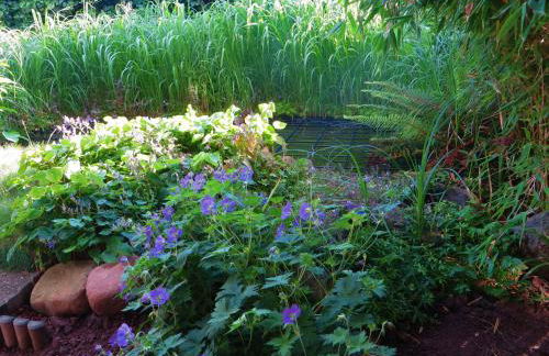 Ferienwohnung Elbe Diek - Foto 9