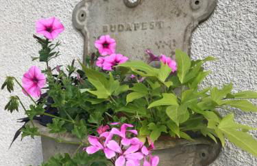 LE JABLOIRE - Foto 41