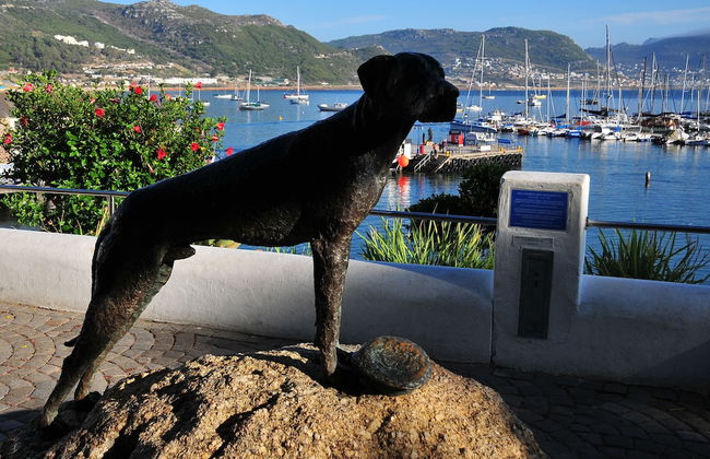 Bradclin House - Foto 74