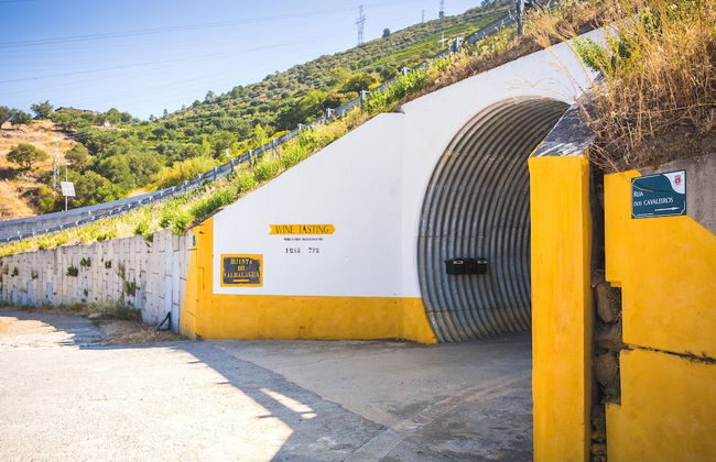 Quinta do Valdalágea - Foto 64