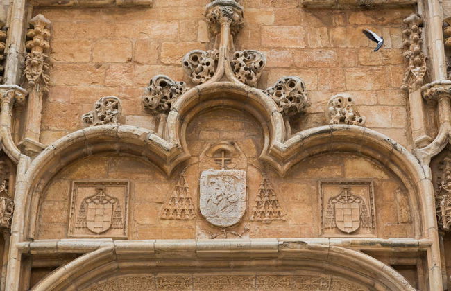 Alcalá de Henares Day Trip - Photo 5