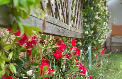 Kuća Aurora - Foto 24