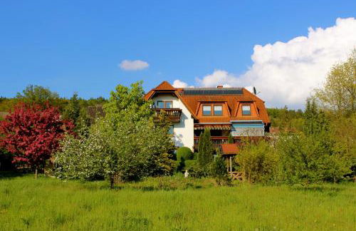 Pension Höchemer - Foto 54