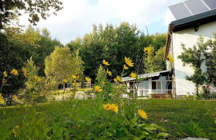 Ferienhaus Mauth - Photo 107