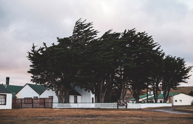 Estancia Monte Dinero - Photo 39