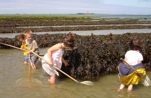 Gîte du Clos Giot - Foto 24