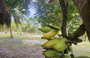 Porto Taipu - Foto 33