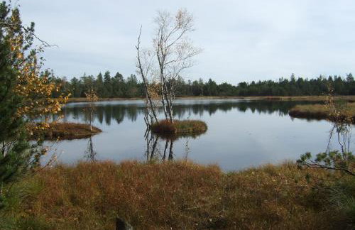 Amstadt's Birkenfels - Foto 23