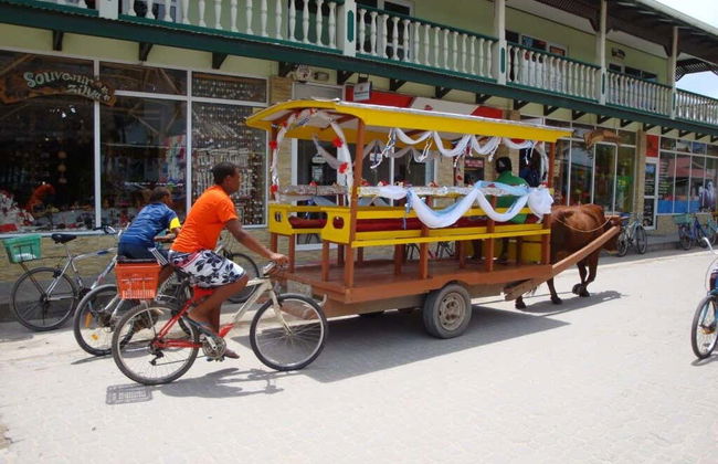 Tour por La Digue - Foto 4