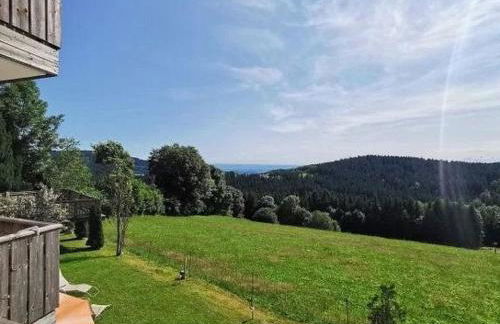 Apartment Wohnungen in Traumlage bei Sankt Englmar by Interhome - Foto 3