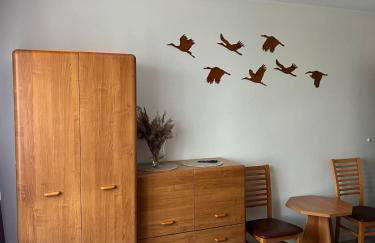 Augustów eMKa Noclegi apartamenty - Foto 11