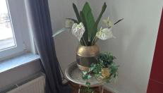 Zum Fuchsbau - Schöneiche bei Berlin - Foto 3