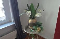 Zum Fuchsbau - Schöneiche bei Berlin - Foto 3