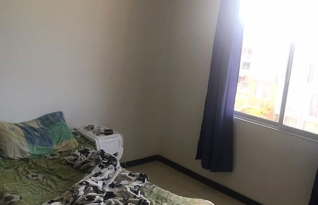 San Fernando - Foto 2