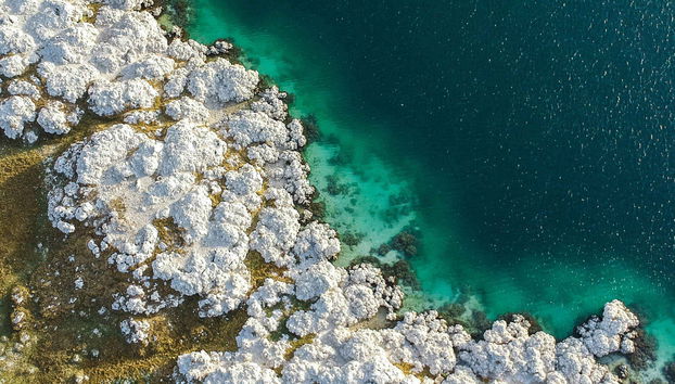 Cantona and Alchichica Lagoon Tour - Foto 5