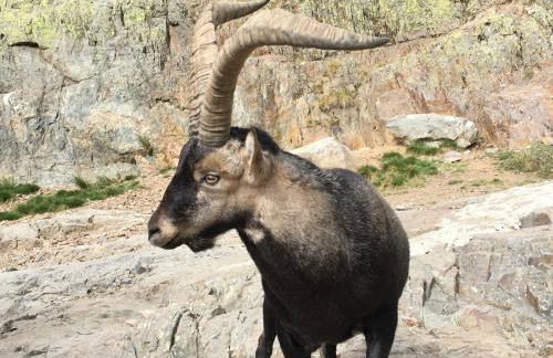 Ermita de Gredos - Foto 72