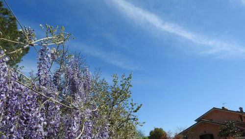 Alloggio Turistico Confortevole Passo Corese - Foto 4, Garden