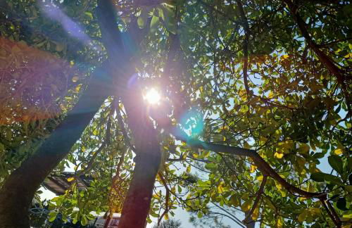 Residence Grimani - Photo 43