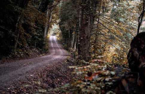 Le Grand Petit Prince - Domaine de Charme - Jacuzzis privatifs - Foto 32