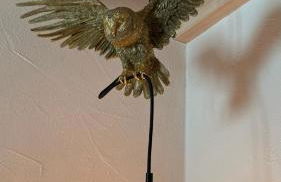 Maso K - Il Gufo Dorato - Foto 8