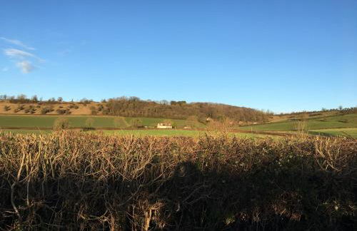 The Annex, Fruit and Honey Farm - Photo 9