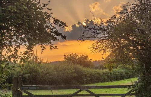 Bumble Lodge New Forest - Foto 51