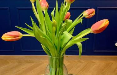 Le Saphir - Appartement Chic - Foto 15