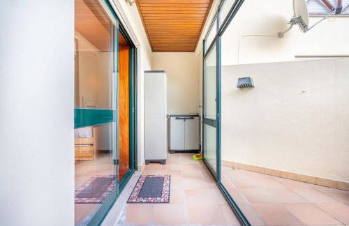 Tulipa do Gêres - Foto 6