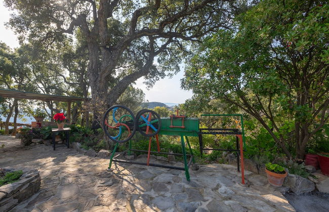 Aurora in Benarrab - Foto 33