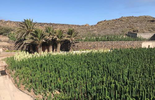 Finca La Punta - Foto 57