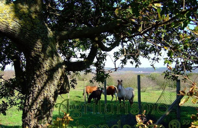 Room in Farmhouse - Agriturismo Abbondanza® - Foto 27