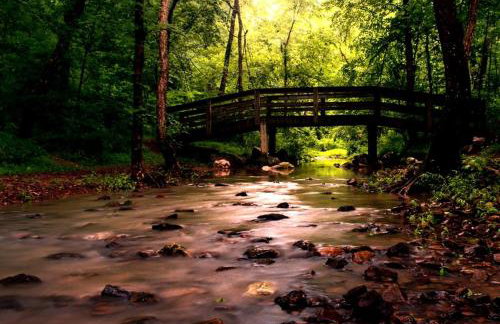 Chic Modern Cabin with Jacuzzi Ideal for Couples in Carbondale, Illinois - Foto 18