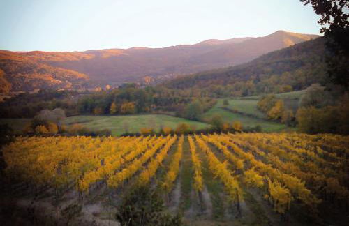 Agriturismo Borgo Ornina - Foto 67