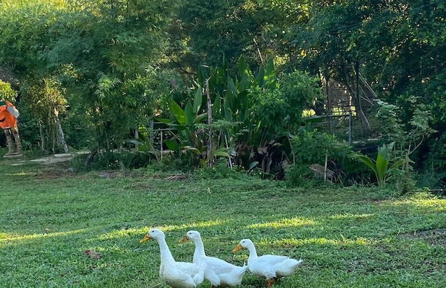 HangTueng Farmstay Chiang Mai - Foto 64