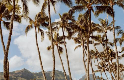 Banyan Harbor Resort - Foto 141