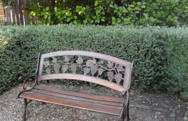 Tourist Lodge Gansbaai - Foto 26