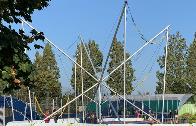 Summer by the Harbour - Foto 31