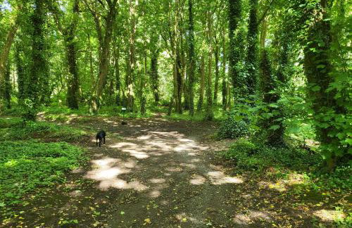 Bumbeldink - Foto 21