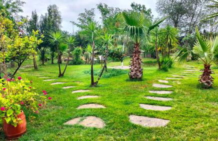 FINCA RIODIEL - Foto 24