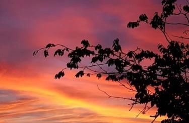 Ferienwohnung Augustin - Foto 16