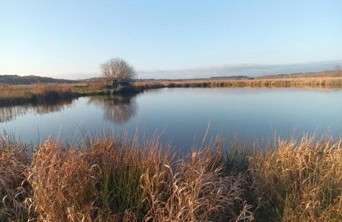 eco nature, gite à la ferme - Foto 24